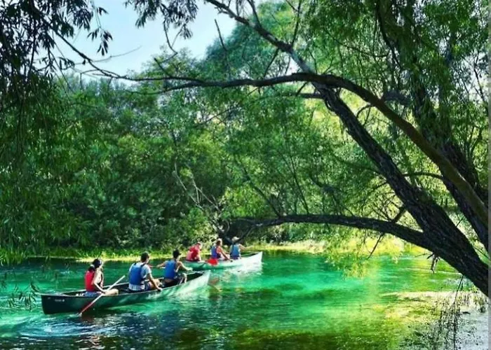 Διαμέρισμα Sisu Bussi *